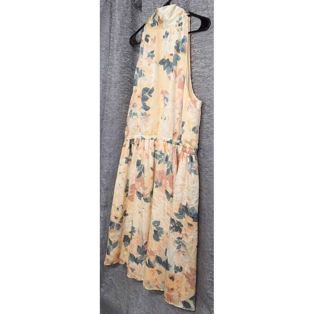Ryegrass NWT PLUS 3XL Sleeveless Floral Dress Lined‎ - Picture 3 of 9